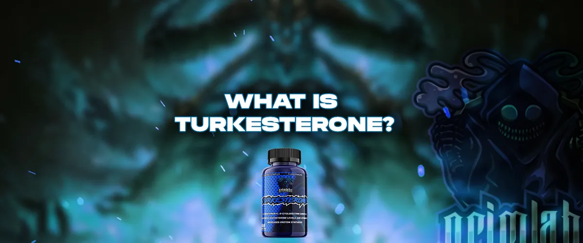 WHAT IS TURKESTERONE?